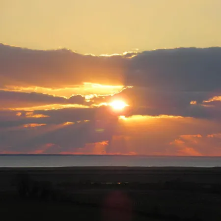 Le Panorama Entre Vignobles Et Estuaire * Saint-Fort-sur-Gironde