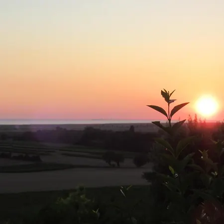 Le Panorama Entre Vignobles Et Estuaire Σπίτι διακοπών